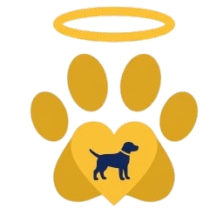 PetHalo logo